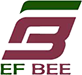 Efbee Enterprises Private Limited